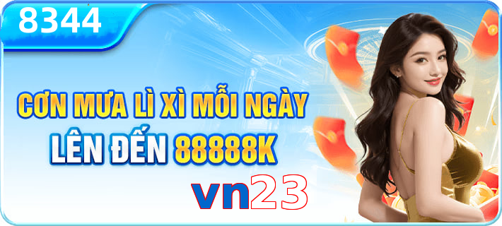 vn23